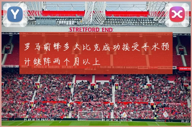 罗马前锋多夫比克成功接受手术预计缺阵两个月以上